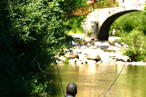An angler on the Torío below the old bridge