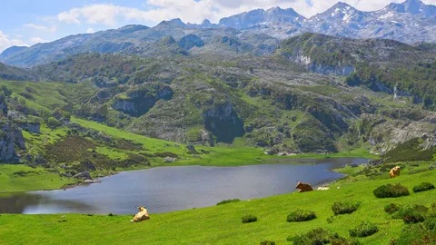 The lakes of Covadonga in the Picos de Europa